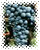 Carmenere