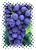 Nero D`Avola & Urla Karası