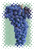 Merlot
