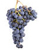Pinot Noir