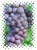 Pinot Grigio