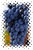 Tempranillo
