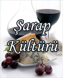 Şarap Tatma Sanatı